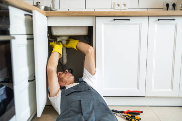 Best Clogged Drain Plumber  in Port Norris, NJ